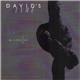 David's Lyre - In Arms EP